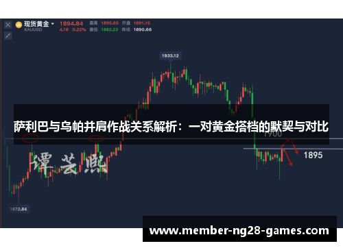 萨利巴与乌帕并肩作战关系解析：一对黄金搭档的默契与对比